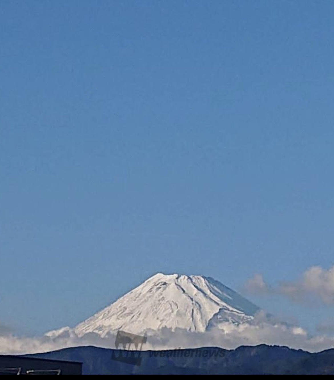 生きていると実感している